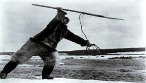 nanook