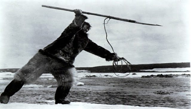 nanook